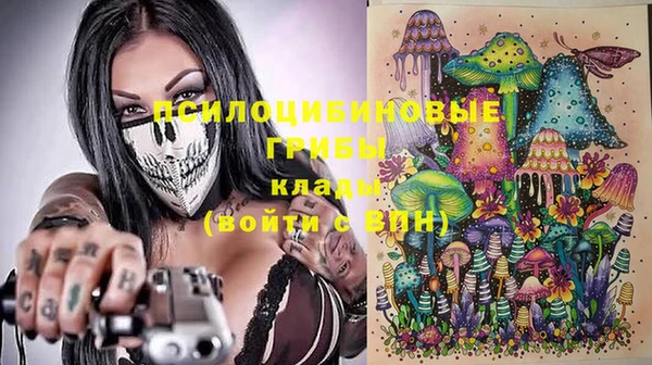 твердый Осташков
