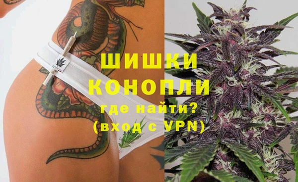 ALPHA PVP Осинники